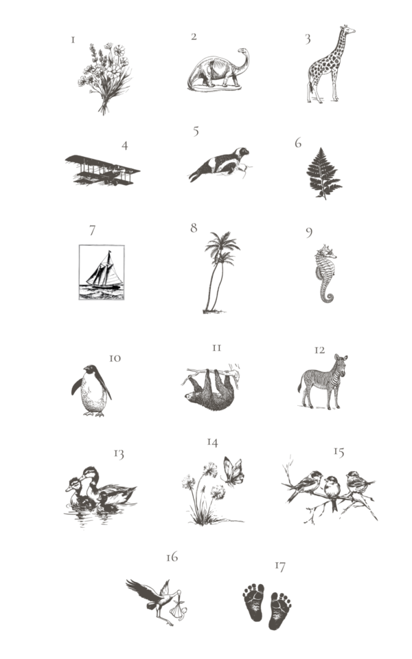 Icône - Faire-part de naissance - Image 3